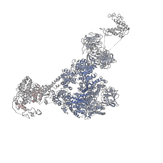 9889_6jv2_G_v1-3
Structure of RyR2 (P/L-Ca2+/Ca2+-CaM dataset)