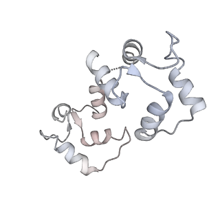 9889_6jv2_H_v1-3
Structure of RyR2 (P/L-Ca2+/Ca2+-CaM dataset)