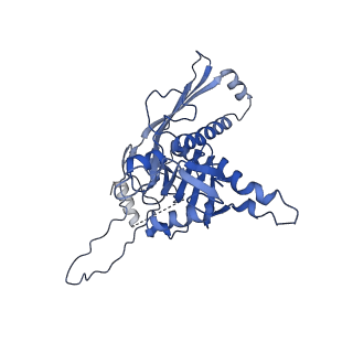 22513_7jw1_B_v1-1
Satellite phage P4 procapsid including size determination (Sid) protein