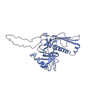 22513_7jw1_C_v1-1
Satellite phage P4 procapsid including size determination (Sid) protein