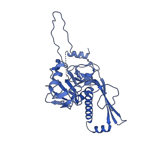 22513_7jw1_D_v1-1
Satellite phage P4 procapsid including size determination (Sid) protein