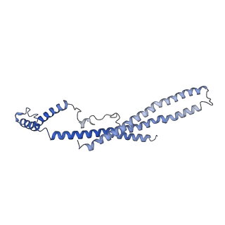 22513_7jw1_E_v1-1
Satellite phage P4 procapsid including size determination (Sid) protein