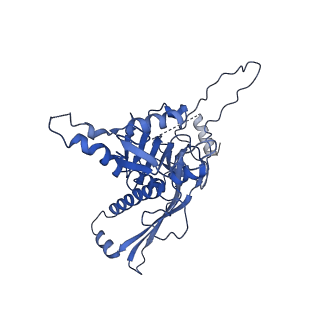 22513_7jw1_b_v1-1
Satellite phage P4 procapsid including size determination (Sid) protein
