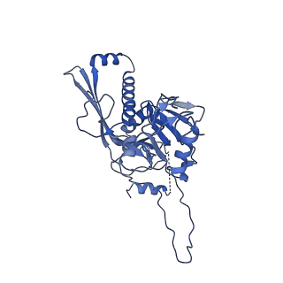 22513_7jw1_d_v1-1
Satellite phage P4 procapsid including size determination (Sid) protein