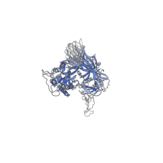 22515_7jwy_C_v1-2
Structure of SARS-CoV-2 spike at pH 4.5