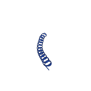 35794_8jwx_B_v1-0
bottom segment of the bacteriophage M13 mini variant