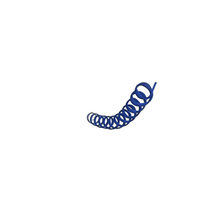 35794_8jwx_H_v1-0
bottom segment of the bacteriophage M13 mini variant