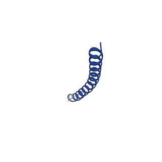 35794_8jwx_L_v1-0
bottom segment of the bacteriophage M13 mini variant