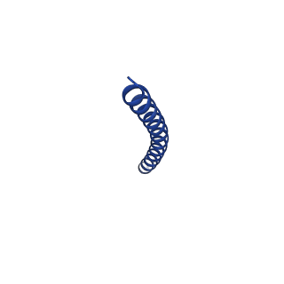 35794_8jwx_M_v1-0
bottom segment of the bacteriophage M13 mini variant