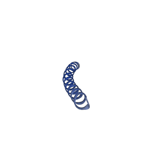 35794_8jwx_S_v1-0
bottom segment of the bacteriophage M13 mini variant