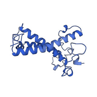 36678_8jw0_A_v1-0
PSI-AcpPCI supercomplex from Amphidinium carterae