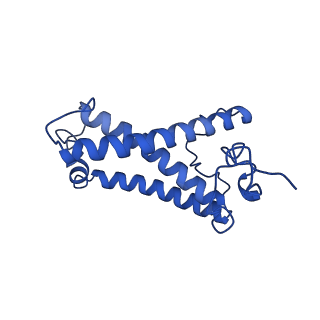 36678_8jw0_B_v1-0
PSI-AcpPCI supercomplex from Amphidinium carterae