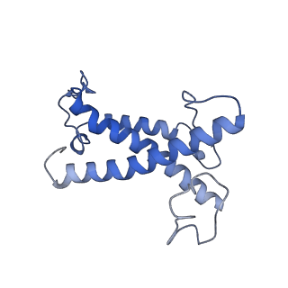 36678_8jw0_C_v1-0
PSI-AcpPCI supercomplex from Amphidinium carterae