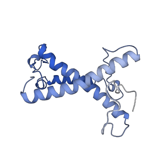 36678_8jw0_D_v1-0
PSI-AcpPCI supercomplex from Amphidinium carterae