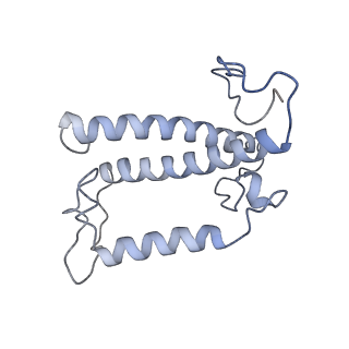 36678_8jw0_H_v1-0
PSI-AcpPCI supercomplex from Amphidinium carterae