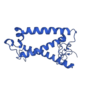 36678_8jw0_K_v1-0
PSI-AcpPCI supercomplex from Amphidinium carterae