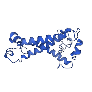 36678_8jw0_L_v1-0
PSI-AcpPCI supercomplex from Amphidinium carterae