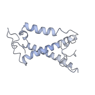 36678_8jw0_P_v1-0
PSI-AcpPCI supercomplex from Amphidinium carterae