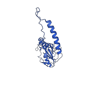 36678_8jw0_d_v1-0
PSI-AcpPCI supercomplex from Amphidinium carterae