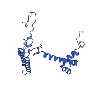 36678_8jw0_f_v1-0
PSI-AcpPCI supercomplex from Amphidinium carterae