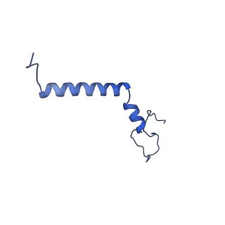 36678_8jw0_j_v1-0
PSI-AcpPCI supercomplex from Amphidinium carterae