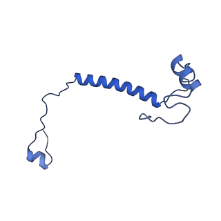 36678_8jw0_m_v1-0
PSI-AcpPCI supercomplex from Amphidinium carterae