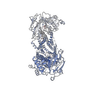 36681_8jwf_A_v1-0
Cryo-EM structure of Plasmodium falciparum multidrug resistance protein 1 with H1 helix in complex with MFQ