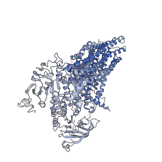 36691_8jx7_A_v1-0
Cryo-EM structure of human ABC transporter ABCC2