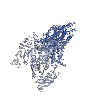 36691_8jx7_A_v1-1
Cryo-EM structure of human ABC transporter ABCC2