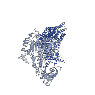 36709_8jxq_A_v1-0
Cryo-EM structure of bilirubin ditaurate (BDT) bound human ABC transporter ABCC2