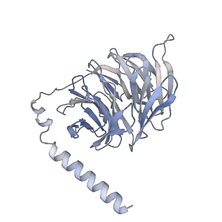 36712_8jxt_C_v1-0
Histamine-bound H4R/Gi complex