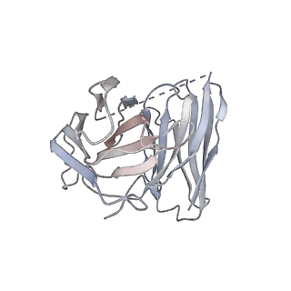 36712_8jxt_E_v1-0
Histamine-bound H4R/Gi complex