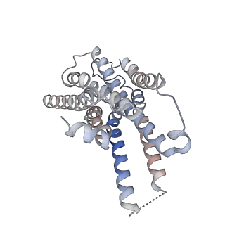 36712_8jxt_R_v1-0
Histamine-bound H4R/Gi complex