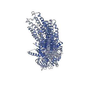 36713_8jxu_A_v1-0
Cryo-EM structure of human ABC transporter ABCC2 under active turnover condition