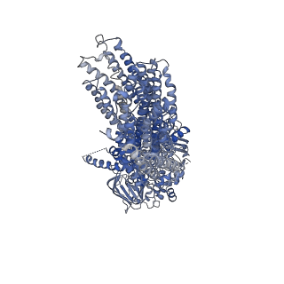 36713_8jxu_A_v1-1
Cryo-EM structure of human ABC transporter ABCC2 under active turnover condition