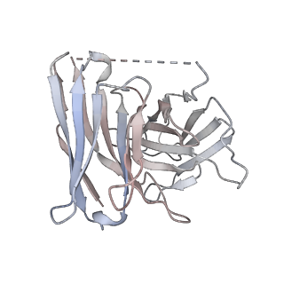 36714_8jxv_E_v1-0
Clozapine-bound H4R/Gi complex