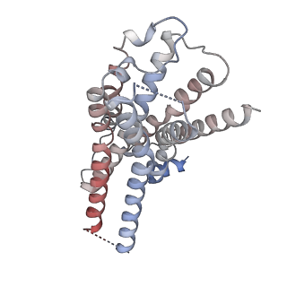 36714_8jxv_R_v1-0
Clozapine-bound H4R/Gi complex