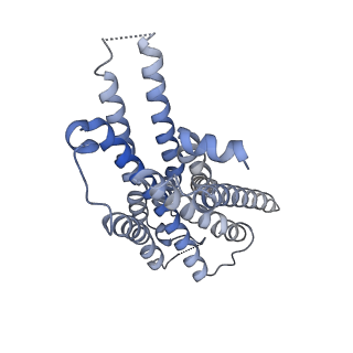 36715_8jxw_R_v1-0
VUF6884-bound H4R/Gi complex