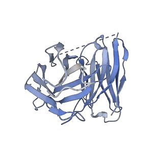 36716_8jxx_E_v1-0
Clobenpropit-bound H4R/Gi complex