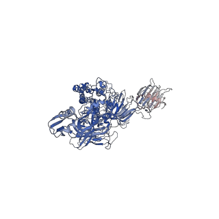 9891_6jx7_A_v1-1
Cryo-EM structure of spike protein of feline infectious peritonitis virus strain UU4