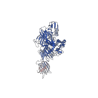 9891_6jx7_C_v1-1
Cryo-EM structure of spike protein of feline infectious peritonitis virus strain UU4