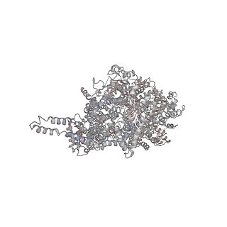 9892_6jxa_A_v1-2
Tel1 kinase compact monomer