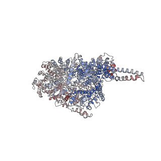 9893_6jxc_A_v1-3
Tel1 kinase butterfly symmetric dimer