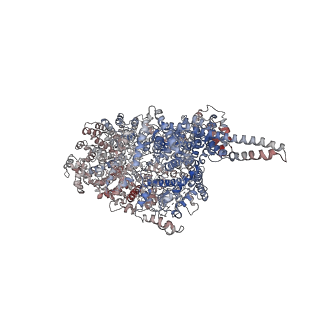 9893_6jxc_A_v1-4
Tel1 kinase butterfly symmetric dimer