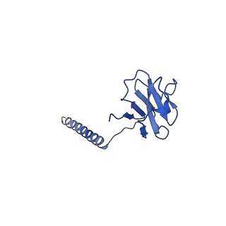 9895_6jxr_e_v1-5
Structure of human T cell receptor-CD3 complex