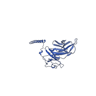 9895_6jxr_m_v1-5
Structure of human T cell receptor-CD3 complex