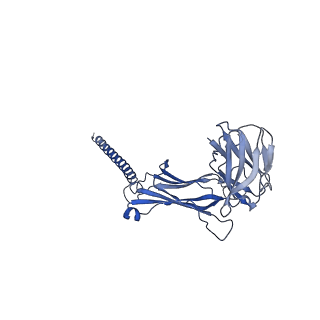 9895_6jxr_n_v1-5
Structure of human T cell receptor-CD3 complex