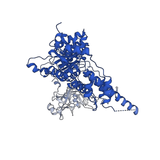 22521_7jy5_A_v1-0
Structure of human p97 in complex with ATPgammaS and Npl4/Ufd1 (masked around p97)