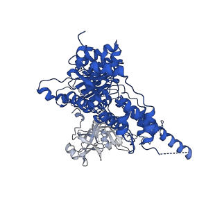 22521_7jy5_A_v1-1
Structure of human p97 in complex with ATPgammaS and Npl4/Ufd1 (masked around p97)