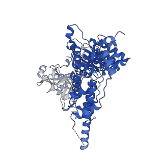 22521_7jy5_B_v1-0
Structure of human p97 in complex with ATPgammaS and Npl4/Ufd1 (masked around p97)